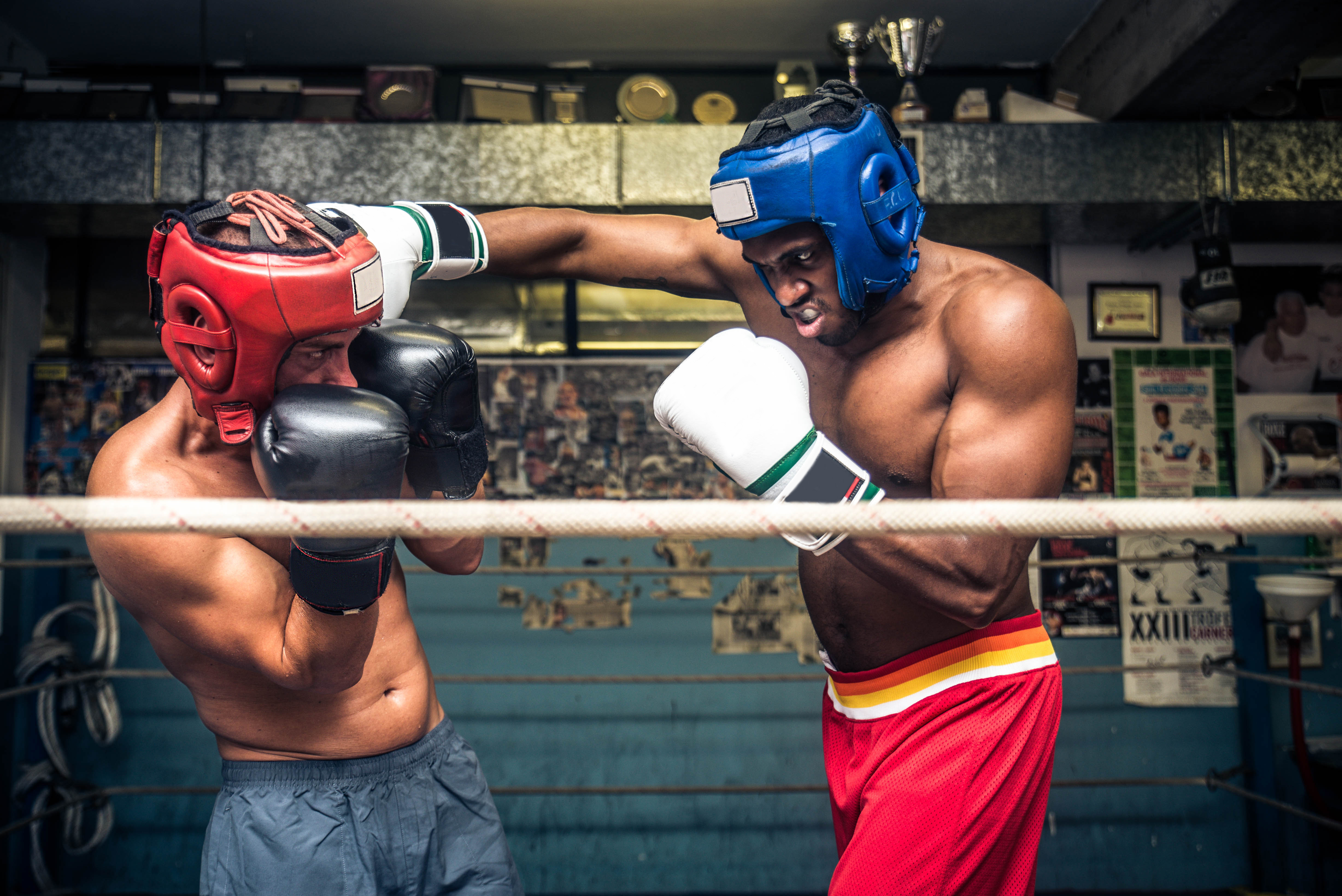 Boxing visual 3